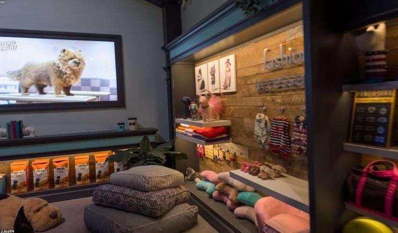 印度奢侈品市场崛起，西方品牌加快布局-配图1