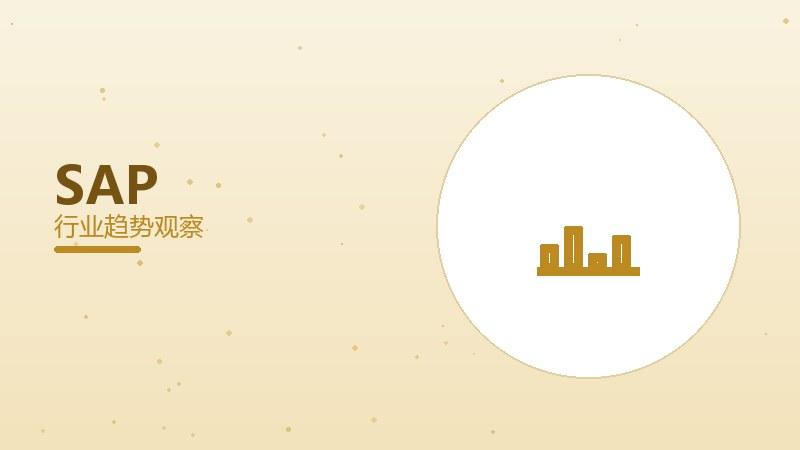 SAP配图