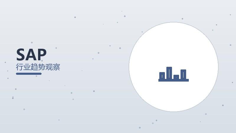 SAP配图