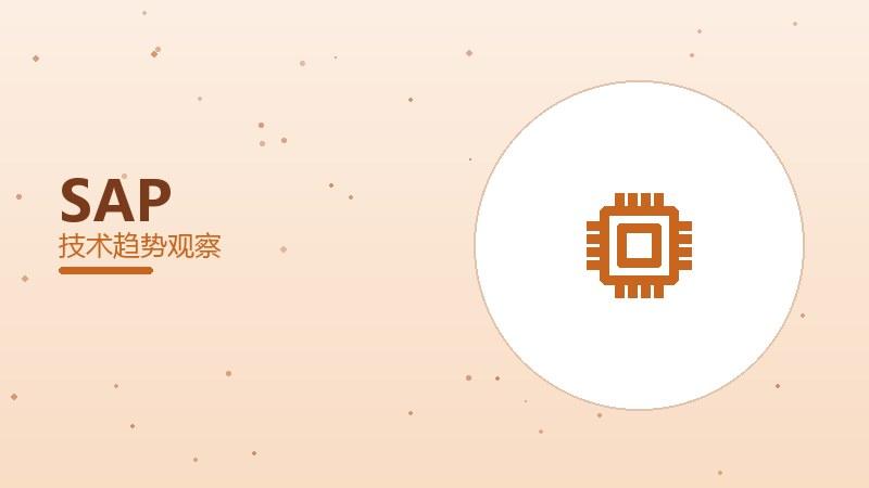 SAP配图